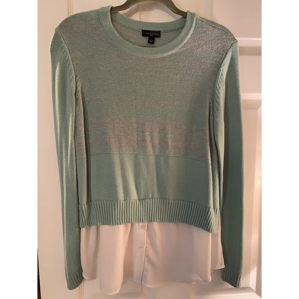 The Limited Mint and Gray Sweater